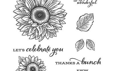 Celebrate Sunflowers Stampin’ Up! Card ideas