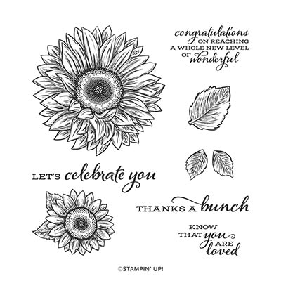 Celebrate Sunflowers Stampin’ Up! Card ideas