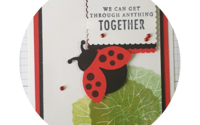 Stampin’ Up! – Hello Ladybug Bundle