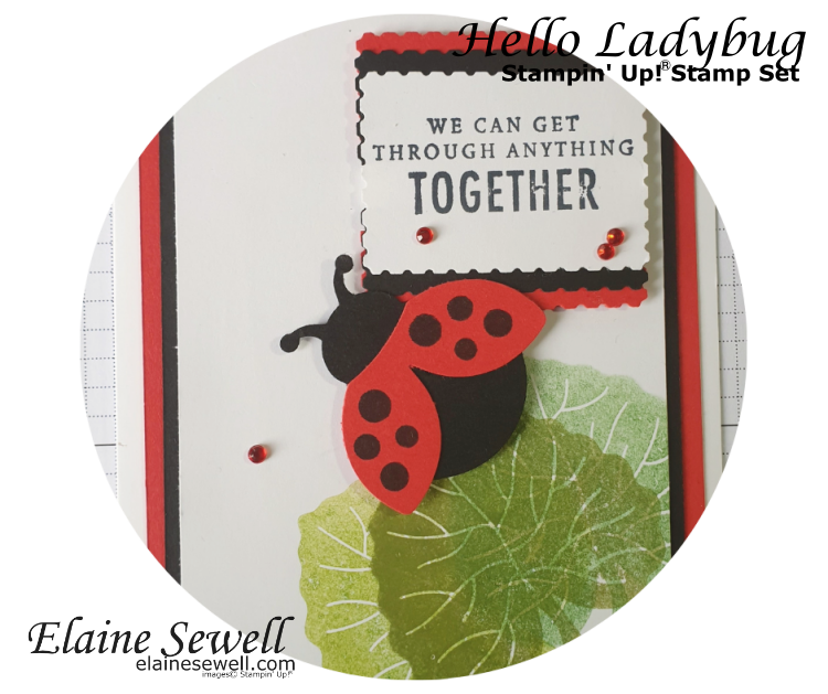 Stampin’ Up! – Hello Ladybug Bundle