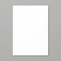 Basic White A4 Thick Cardstock