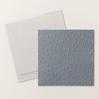 Raindrops Embossing Folder
