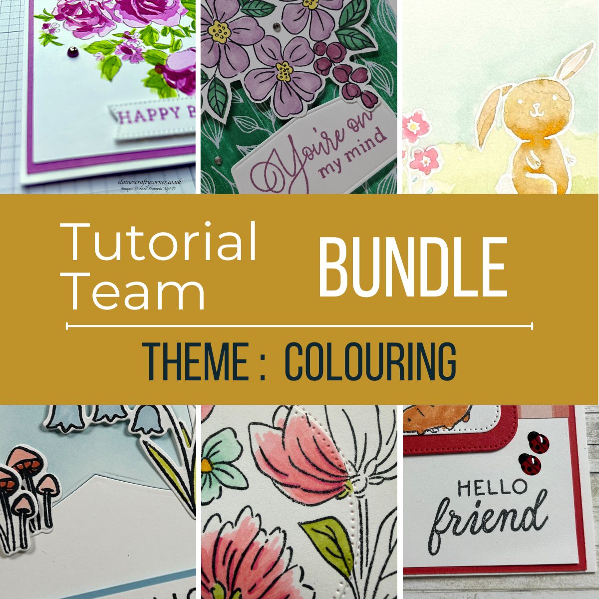 April 2025 Tutorial Bundle  - Animals